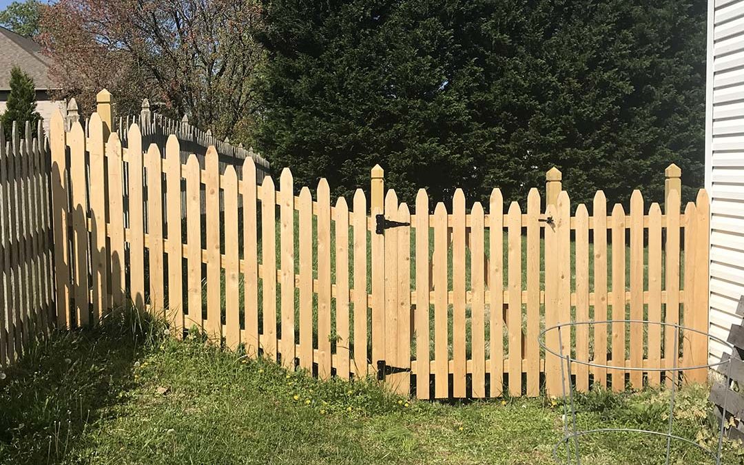 Fence /01/